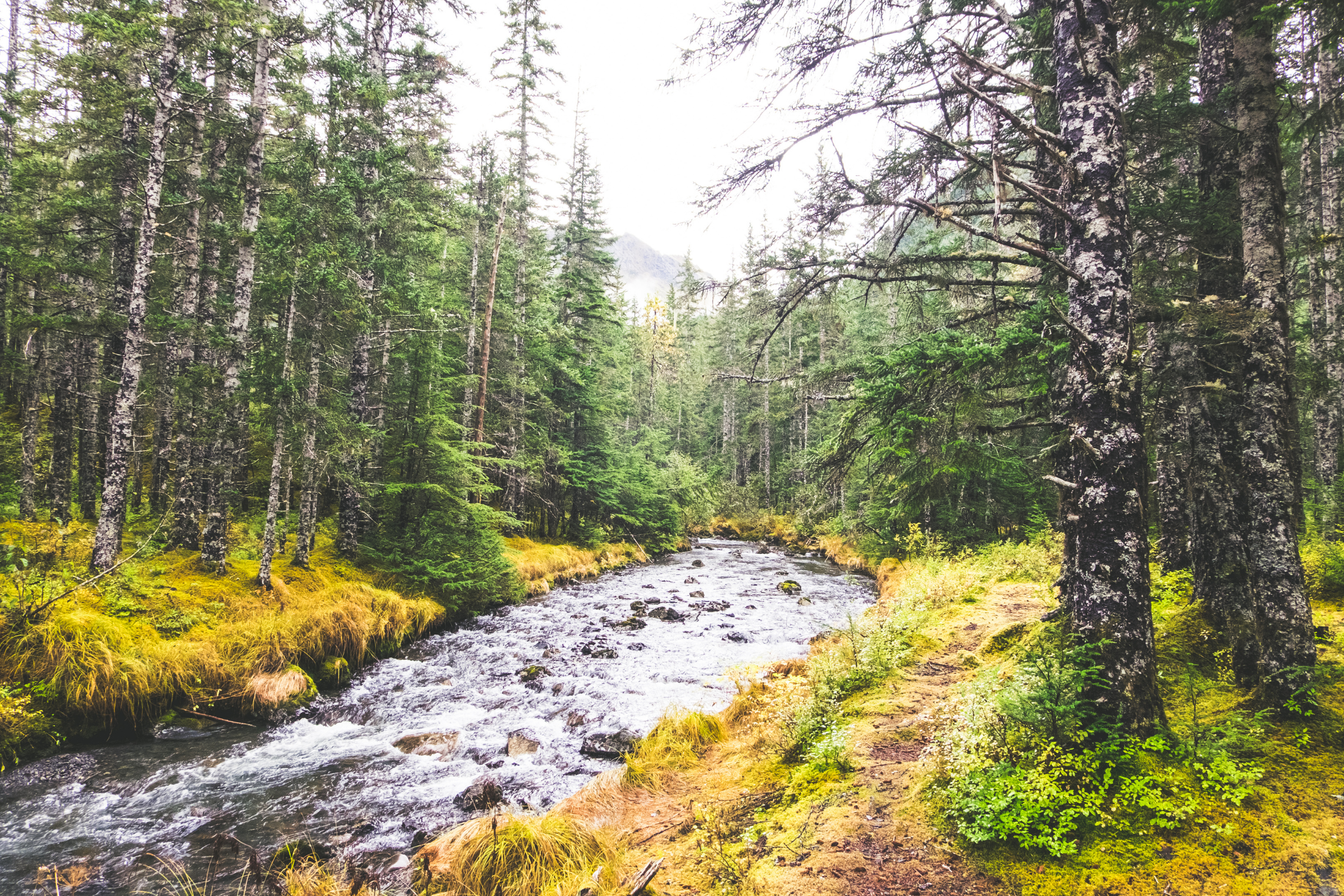 cordova, alaska 04.webp